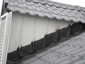 阜阳森颢建材 专业供应优质树脂瓦，打造耐用建筑材料